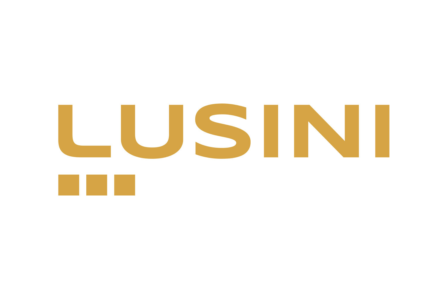 Lusini IT